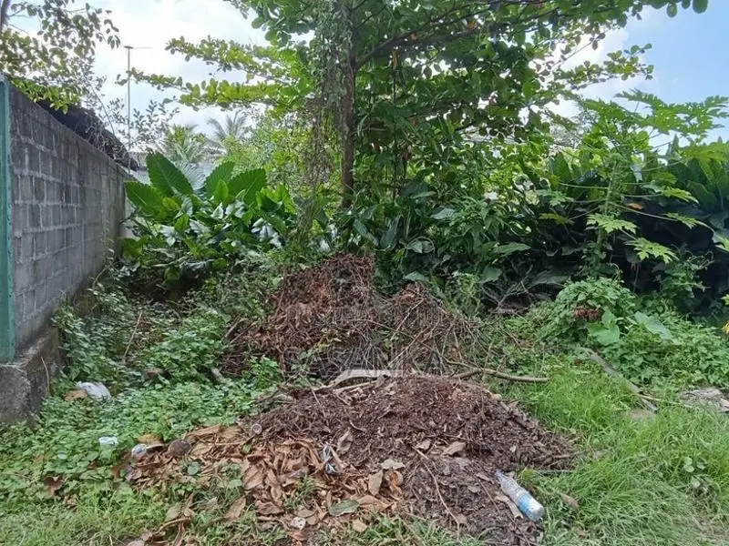 Ja Ela Suhada Mawatha 20 Perches Land for sale