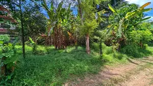 හංවැල්ල කටුනායක පාරට 100m ළගින් ඉඩමක්