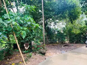 Kadawatha : 18 perches Land for Sale at Mawaramandiya