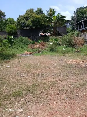 Bare Land for Sale in Embuldeniya