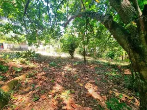 Land for Sale in Mirigama