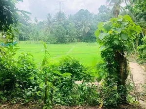 Kadawatha : 18 perches Land for Sale at Mawaramandiya