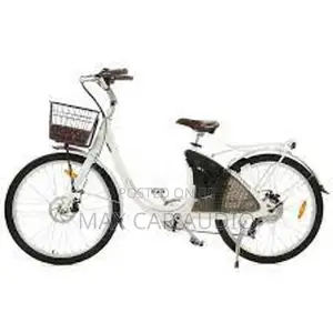 E Bike Japan Brand Panasonic