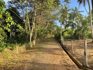Land for Sale in Veyangoda