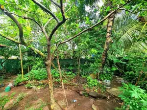 Land for Sale in Gampaha