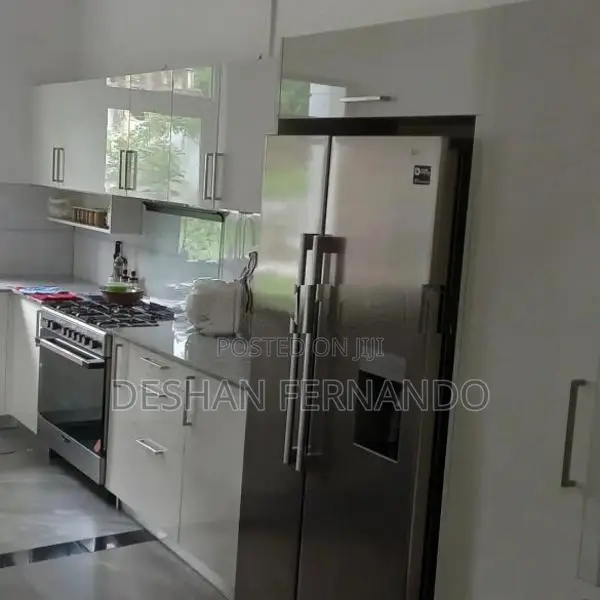 Modern pantry cupboards