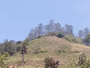 View Point Land for Sale Pundaluoya