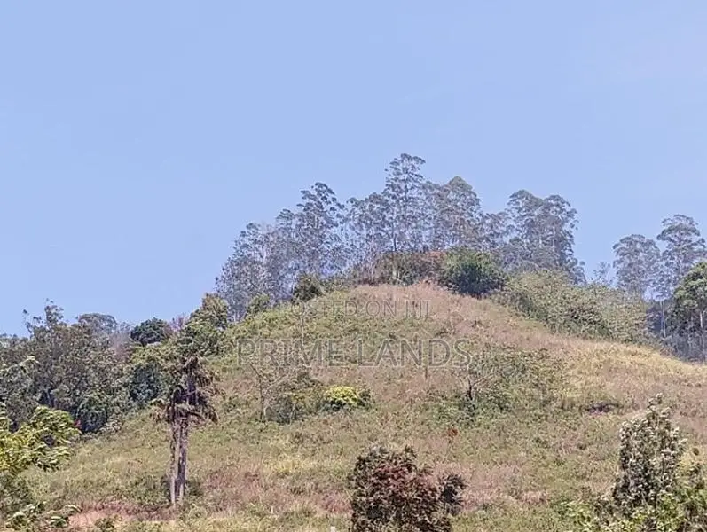 View Point Land for Sale Pundaluoya