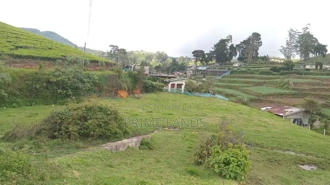View Point Land for Sale Nuwara Eliya Pundaluoya