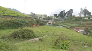 View Point Land for Sale Nuwara Eliya Pundaluoya