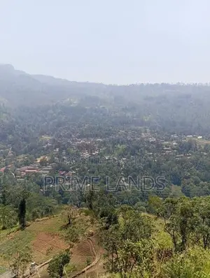 View Point Land for Sale Pundaluoya