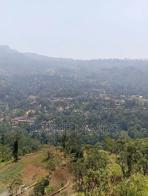 View Point Land for Sale Pundaluoya
