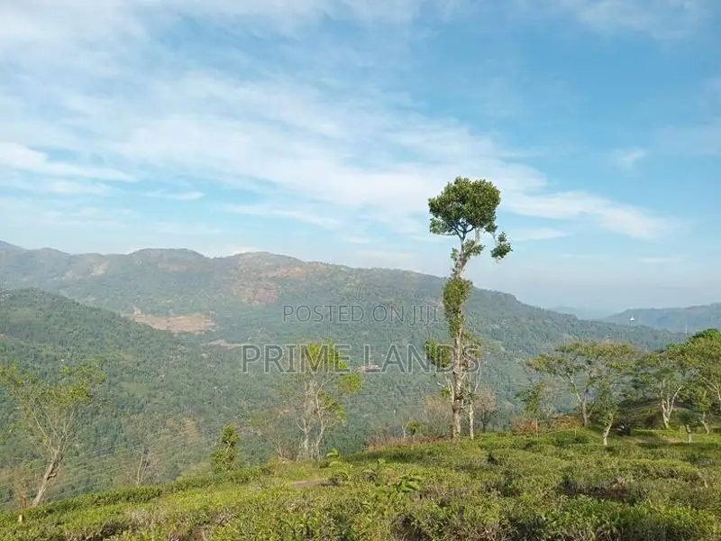 View Point Land for Sale Pundaluoya