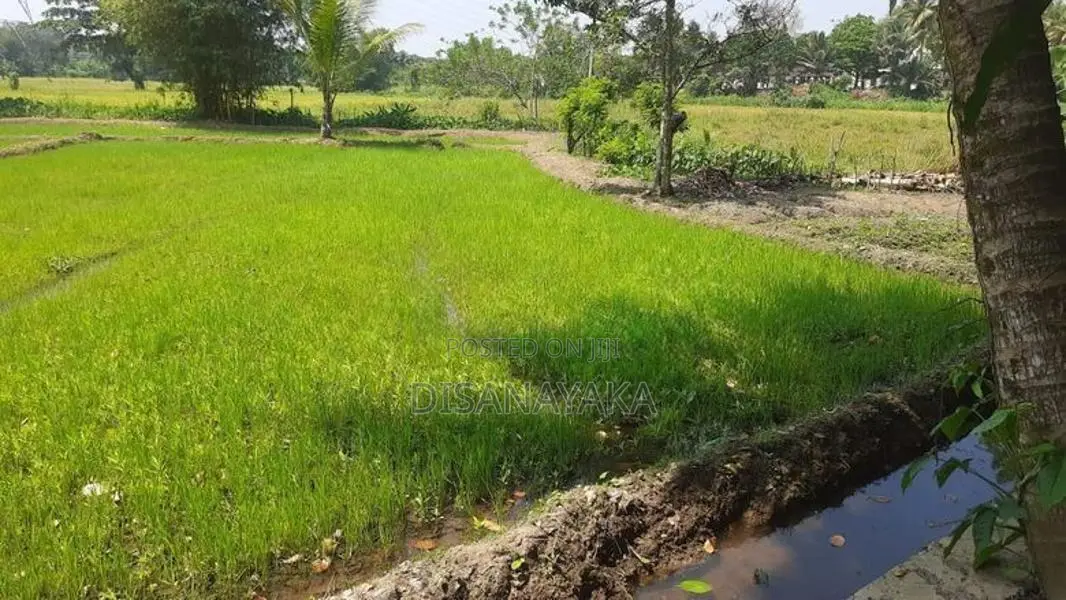 Single Storey House for Sale Homagama Ds79100