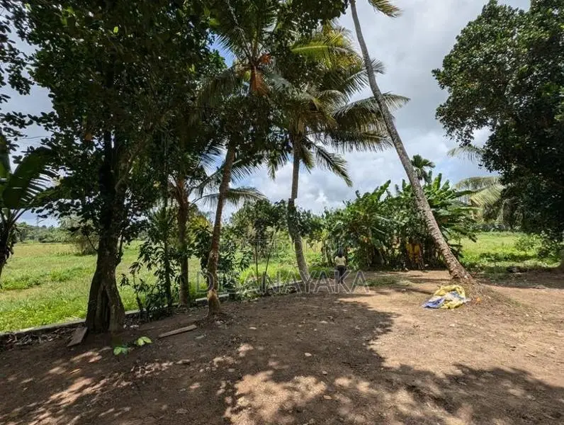 Single Storey House for Sale Homagama Ds79100