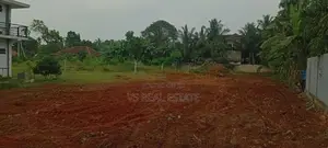காணி விற்பனைக்கு நிலம் – திருநெல்வேலி (கருவாப்புளம் வீதி)