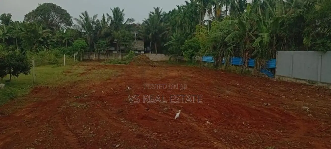காணி விற்பனைக்கு நிலம் – திருநெல்வேலி (கருவாப்புளம் வீதி)