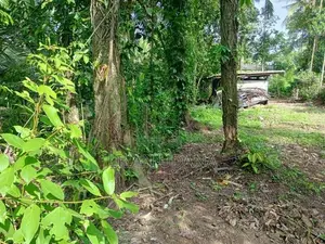 Land for Sale - Meegoda