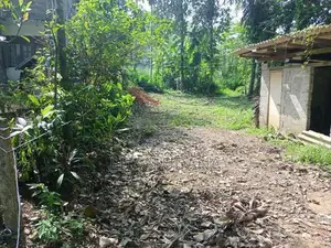 Land for Sale - Meegoda