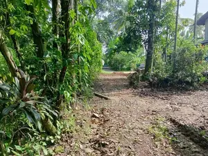 Land for Sale - Meegoda