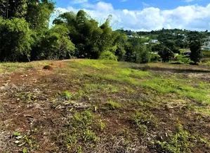 Land for Sale in Nuwara Eliya