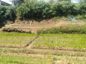Land for Sale in Nuwara Eliya
