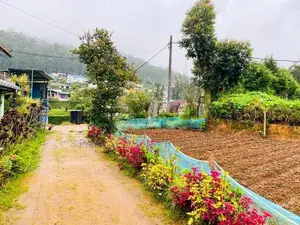 Land for Sale in Nuwara Eliya