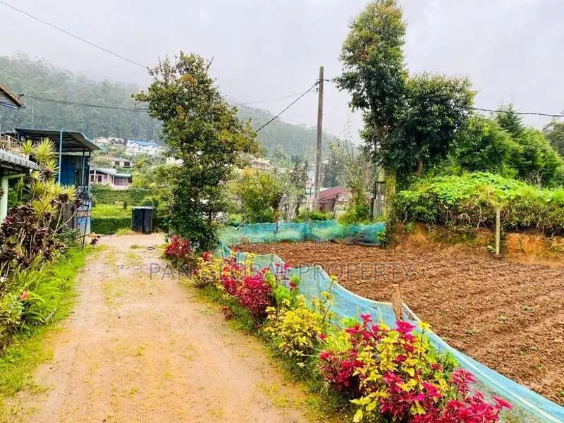 Land for Sale in Nuwara Eliya