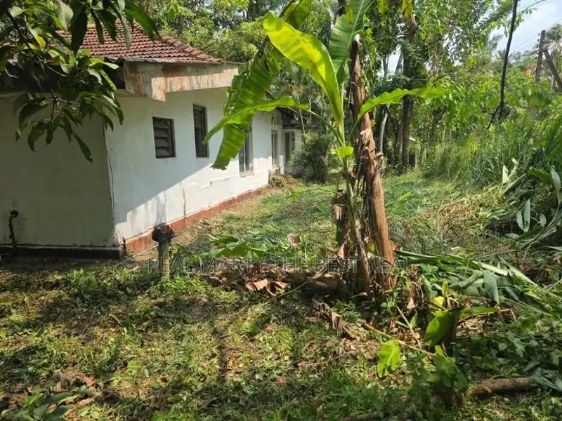 Bandaragama : 51 perches Land for Sale at Kandamandiya road
