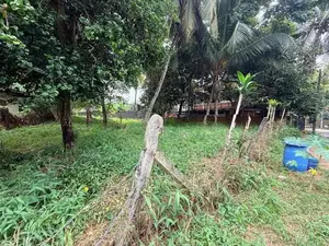 Boralesgamuwa : 26.65 perches Land for Sale at Raththanapitiya