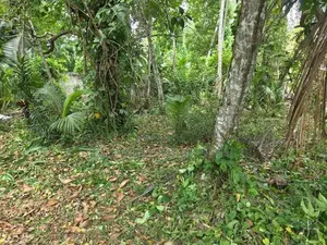 Bandaragama : 51 perches Land for Sale at Kandamandiya road