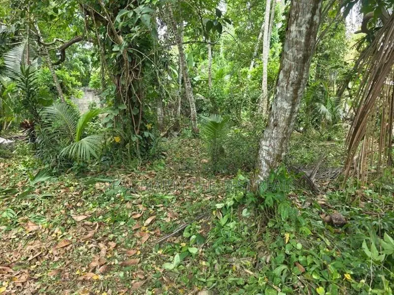 Bandaragama : 51 perches Land for Sale at Kandamandiya road