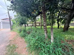 Boralesgamuwa : 26.65 perches Land for Sale at Raththanapitiya