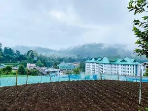 Land for Sale in Nuwara Eliya