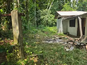 Bandaragama : 51 perches Land for Sale at Kandamandiya road