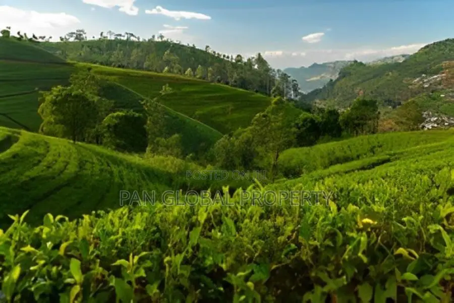 Bungalow for Sale in Nuwara Eliya