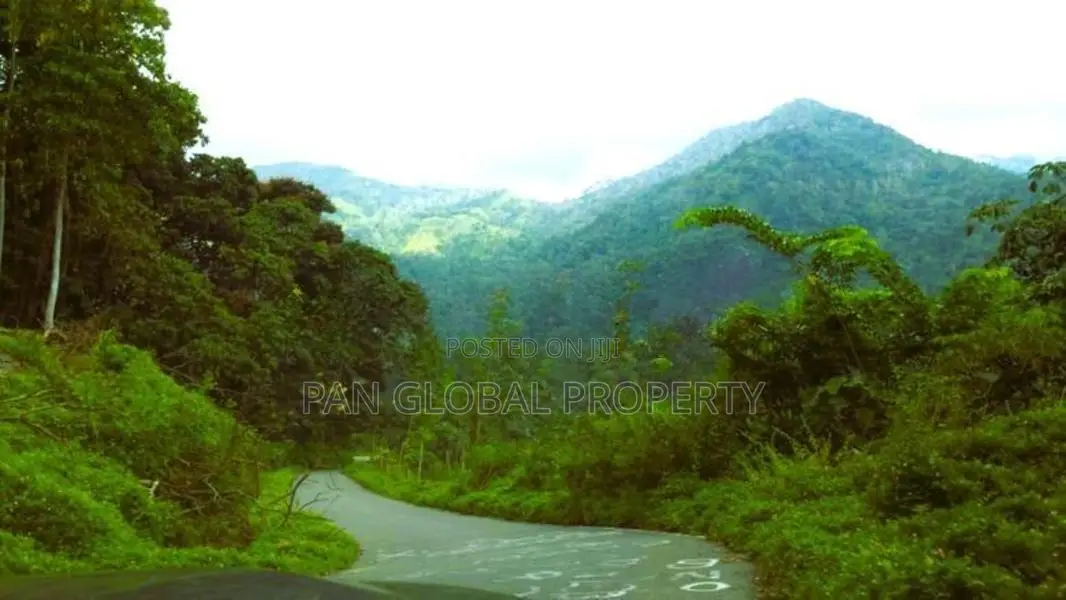 Estate for Sale in Bulathkohupitiya