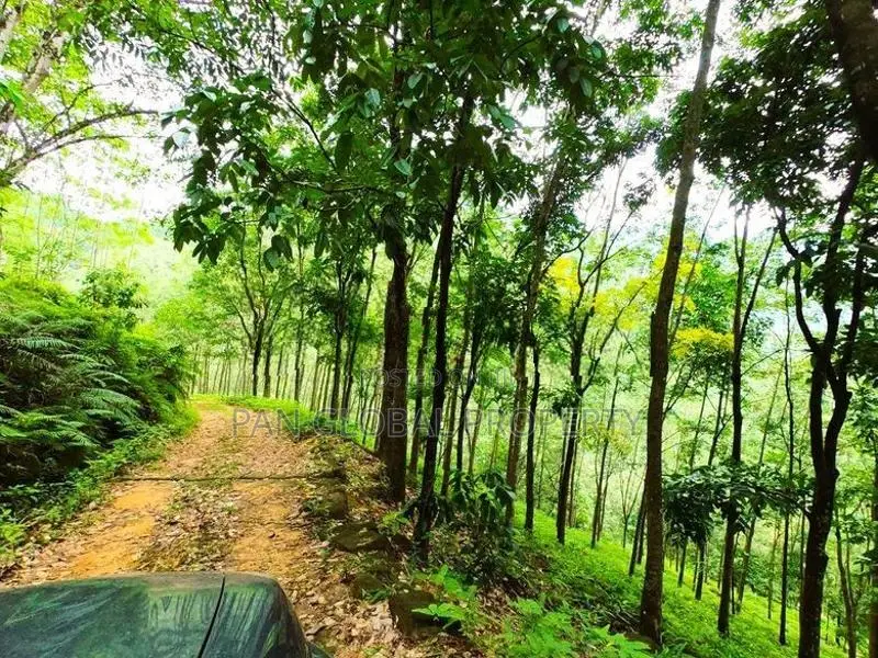 Estate for Sale in Bulathkohupitiya