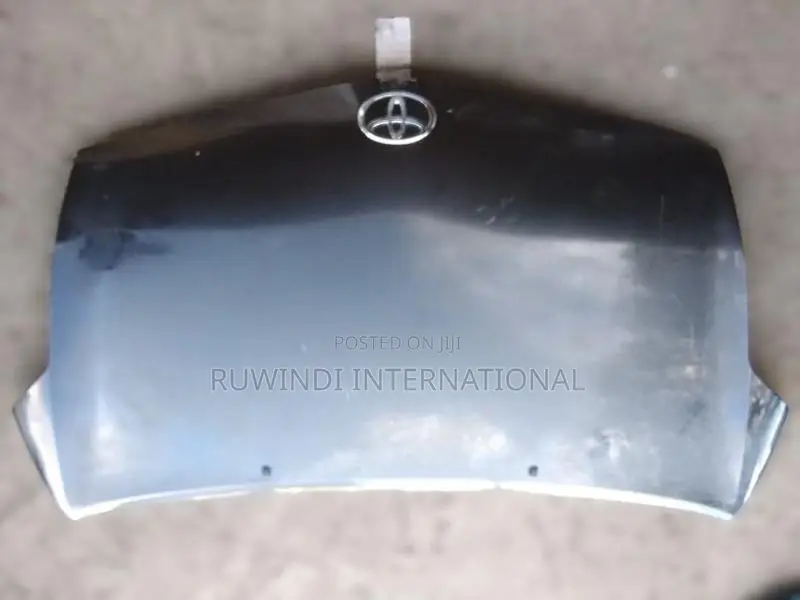 Toyota Prius W20 Bonnet