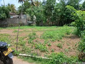 Land for Sale Govikam Pedesa Road Raththanapitiya