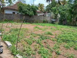 Land for Sale Govikam Pedesa Road Raththanapitiya
