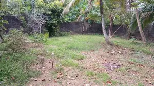 Land for Sale Govikam Pedesa Road Raththanapitiya