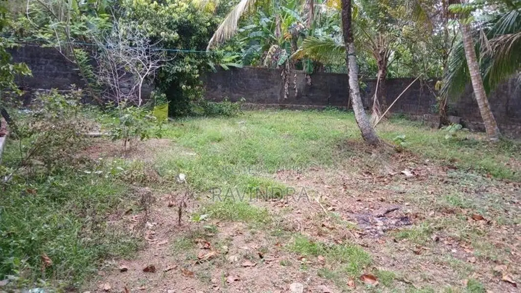 Land for Sale Govikam Pedesa Road Raththanapitiya