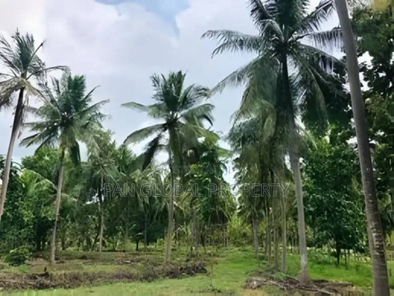 Estate for Sale in Kurunegala