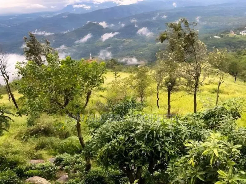 Land for Sale in Haputale