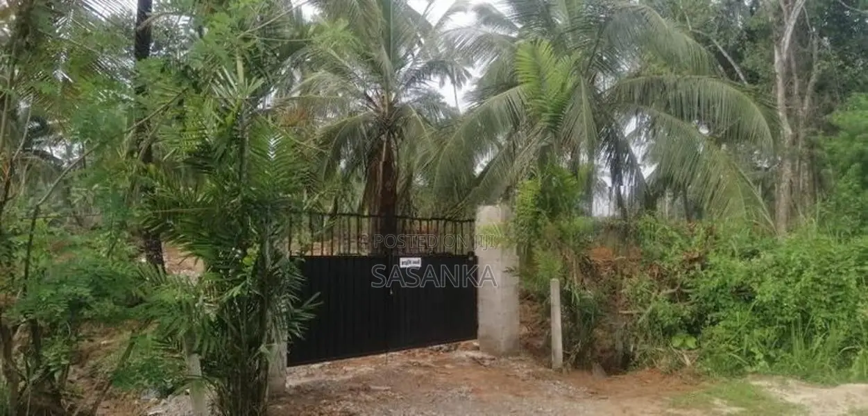 Kurunegala 6 Acres available For Rent