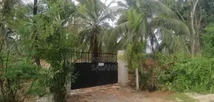 Kurunegala 6 Acres available For Rent