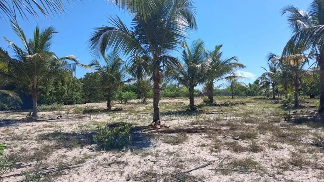 HHL1133 - Land for sale in Koralankerny