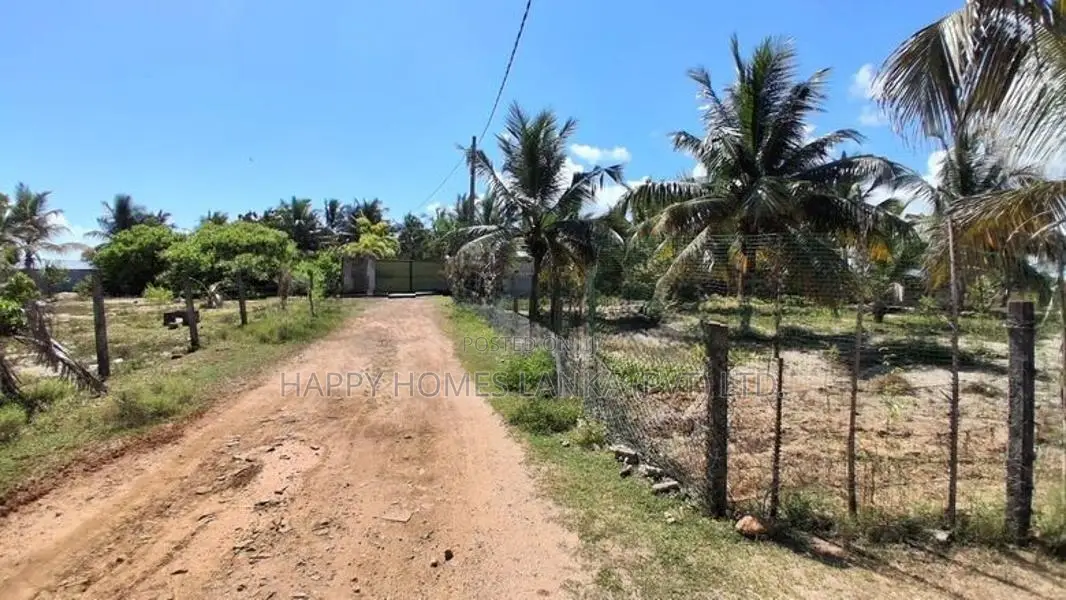 HHL1134 - Land for Sale in Koralankerny