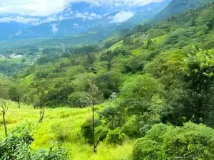Land for Sale in Haputale